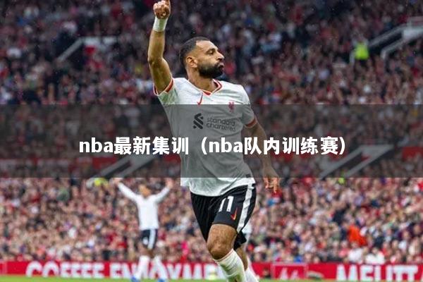 nba最新集訓(xùn)（nba隊(duì)內(nèi)訓(xùn)練賽）