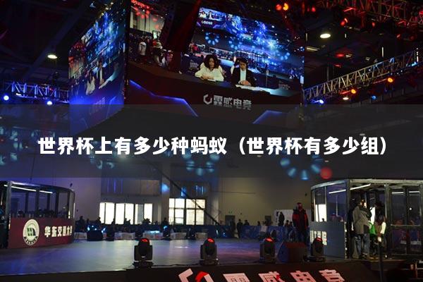 世界杯上有多少種螞蟻（世界杯有多少組）