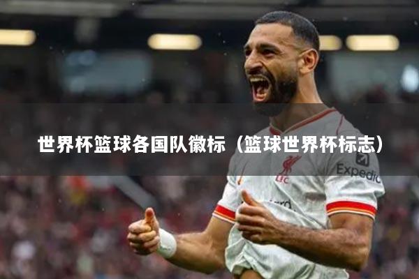 世界杯籃球各國隊徽標(biāo)（籃球世界杯標(biāo)志）